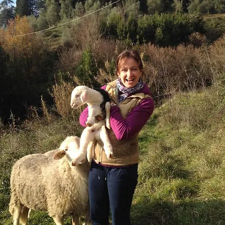 Farm stay Le Murelle Lucca